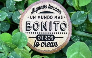 ¡Preparados 🎨 para comenzar 😃!