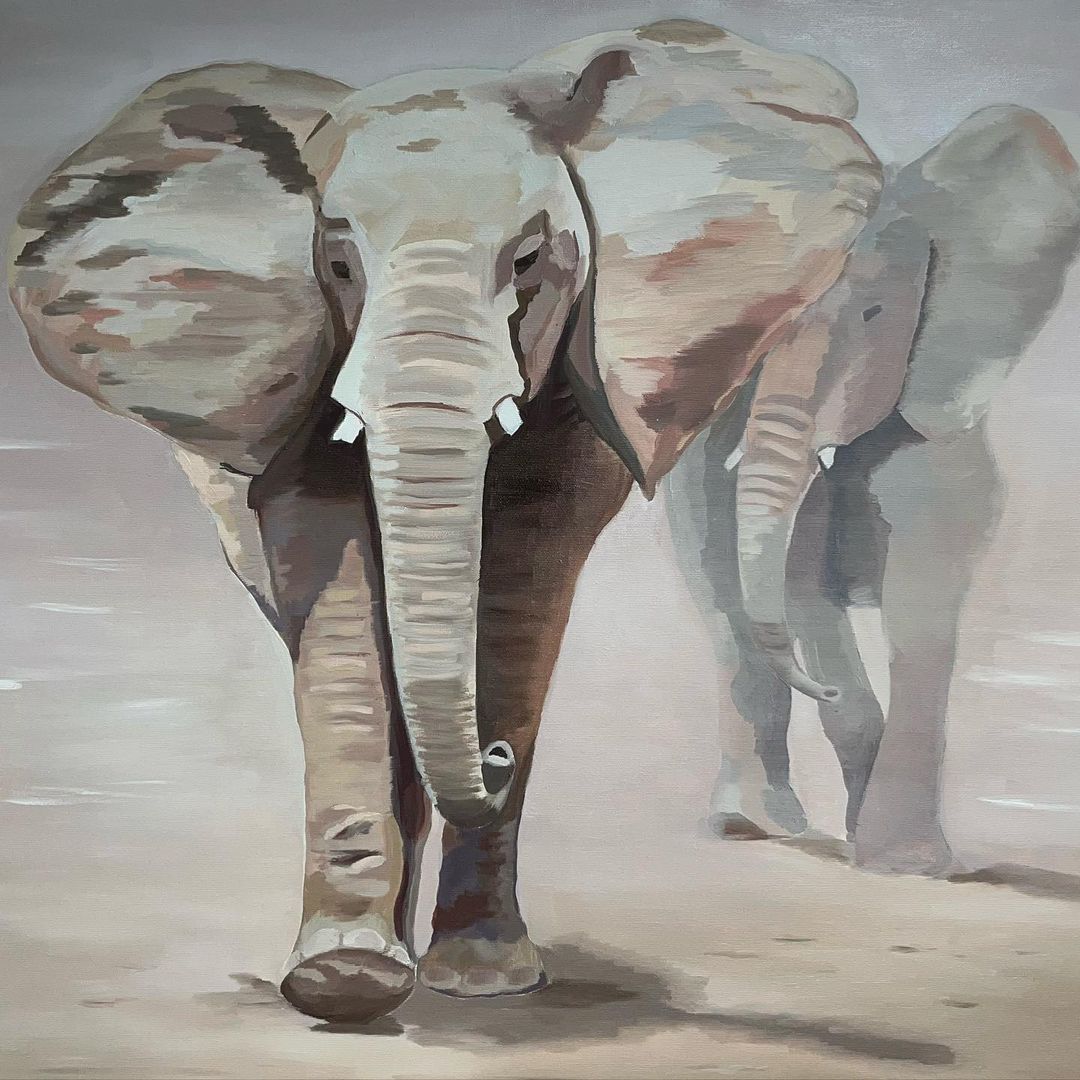 324932779_534246882070252_4613563104435059994_n