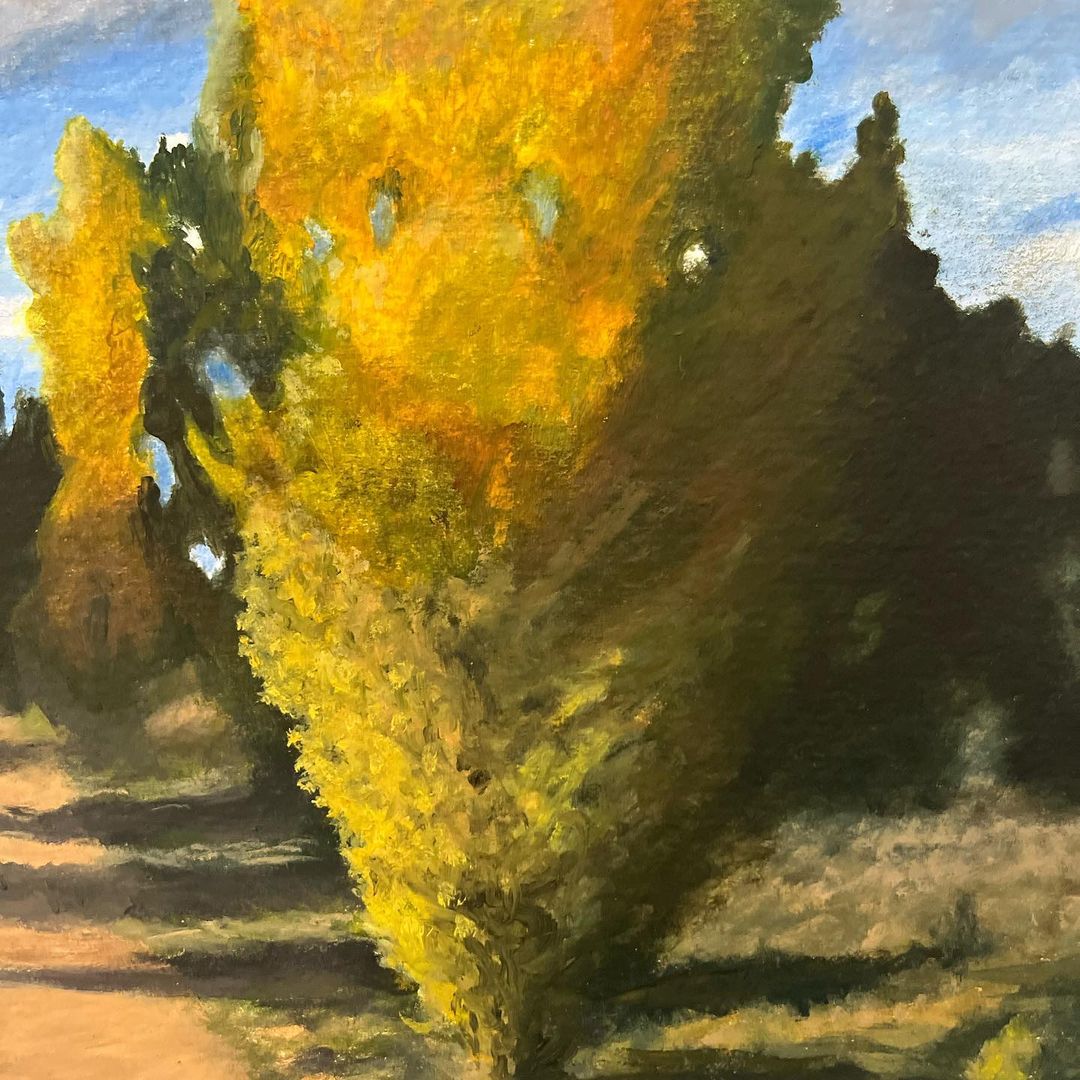 329397106_715525426721015_8812619246683606525_n