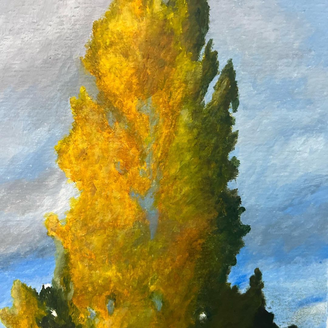 329440958_906791857334919_3188845389408413702_n