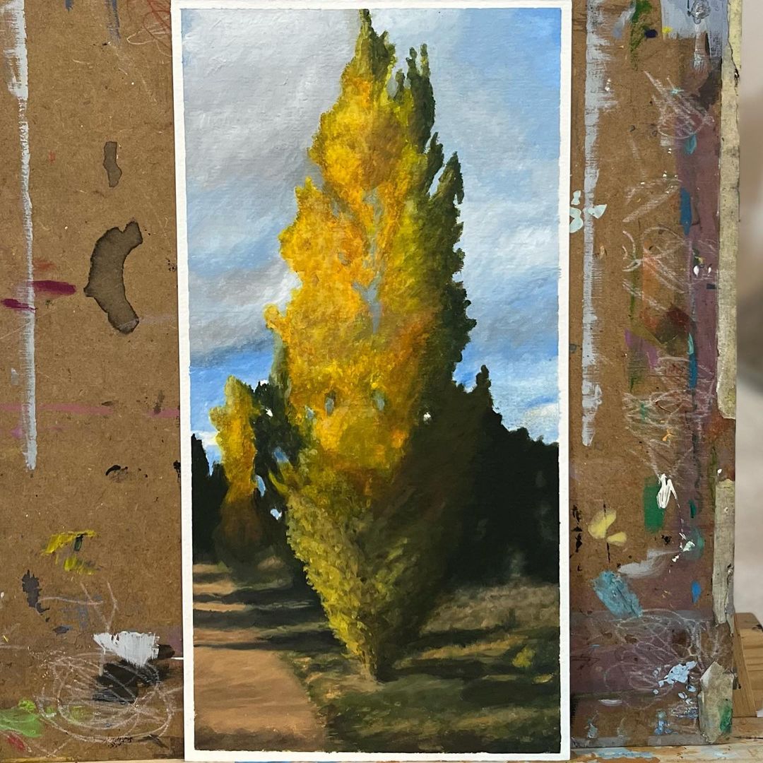 329953017_544596860973969_8257938756852054429_n