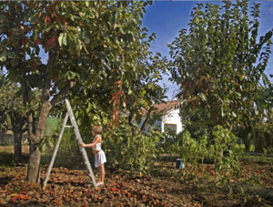 Niña en la escalera, Miriam Garlo Niña en la escalera, Miriam Garlo