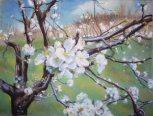 Sin Título, 2013. Alfredo Utrilla Sin Título, 2013. Alfredo Utrilla