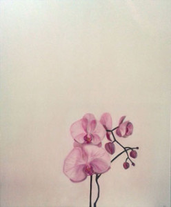 Orquídea, 2013. Leticia Zarza Orquídea, 2013. Leticia Zarza